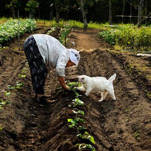 Sara - rencontre-Libertine-Nice